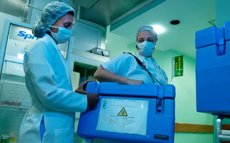 Brasil bate recorde com 31 mil transplantes em 2025