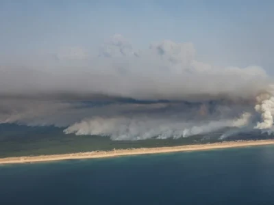 Incêndio na França: milhares fogem do paraíso Cap Ferret