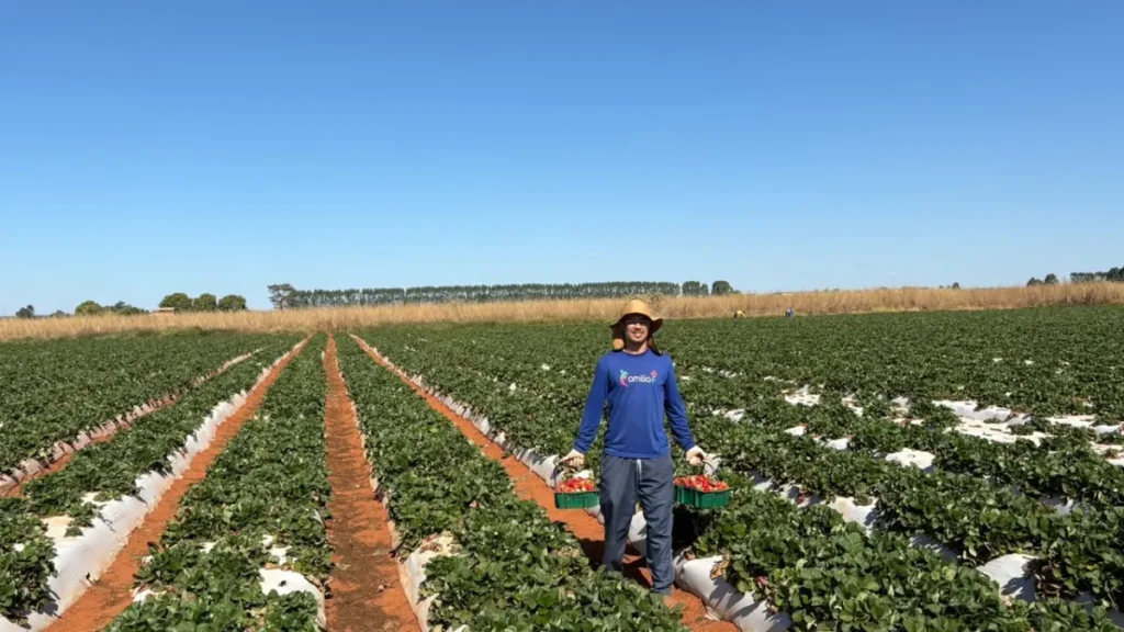 Agricultura familiar no DF: rotina, desafios e R$1 bi em 2024