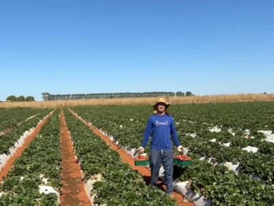 Agricultura familiar no DF: rotina, desafios e R$1 bi em 2024