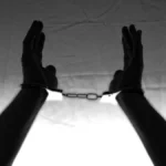 Brasileiros presos na Islândia há 2 semanas após ato contra caça de baleias
